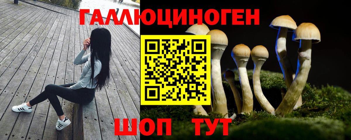 Галлюциногенные грибы GOLDEN TEACHER  Вход с VPN  Вязники 